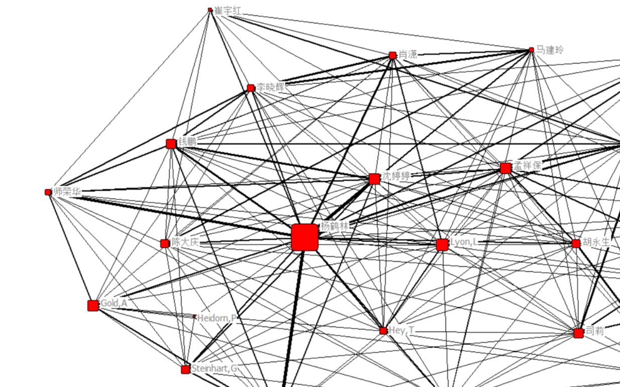 15作者共被引提取 【理论+实战】Ucinet做中文社会科学引文索引 CiteSpace gephi bibexcel vosciewer pajek bico哔哩哔哩bilibili