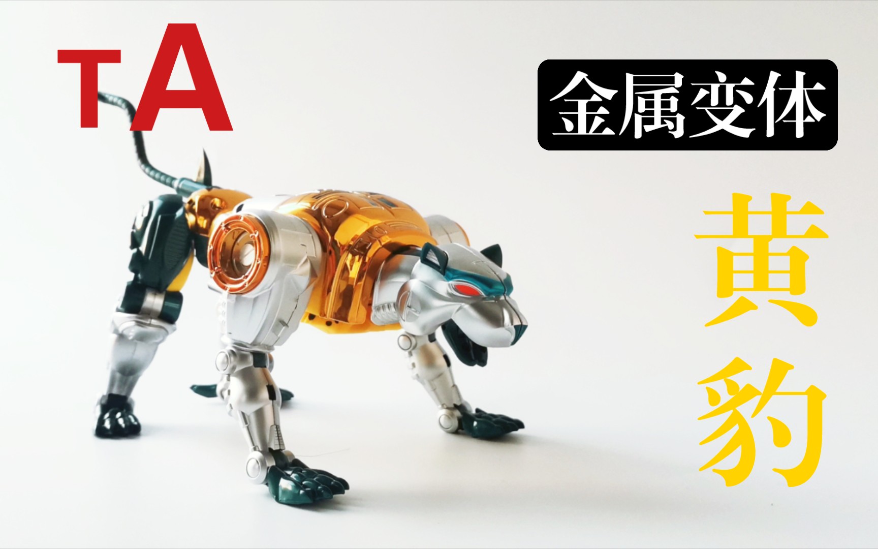 活动作品ta金属变体黄豹于小帅的模玩分享