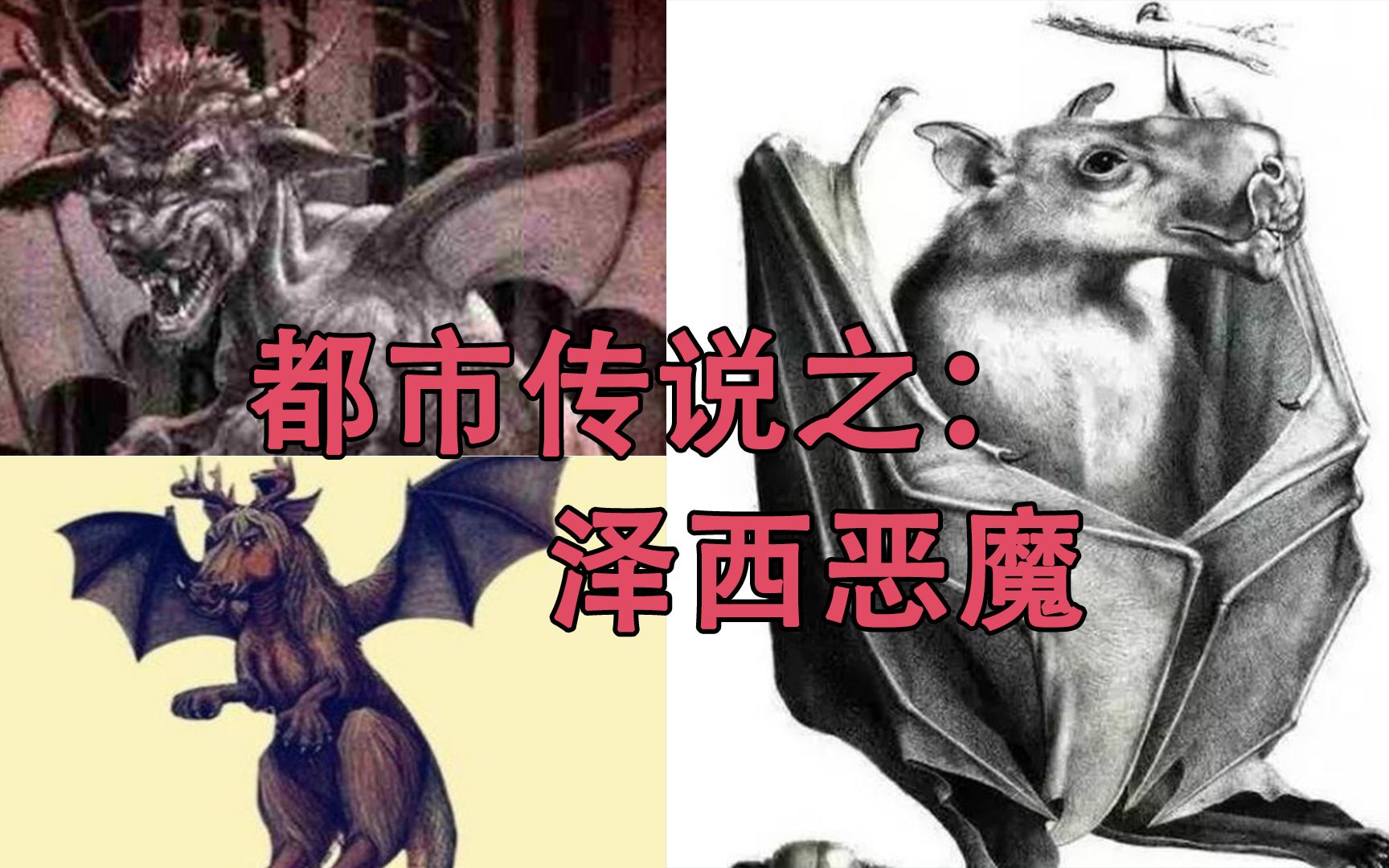 传说中的泽西恶魔,其实只是已知生物锤头果蝠,并没有那么神秘.哔哩哔哩bilibili