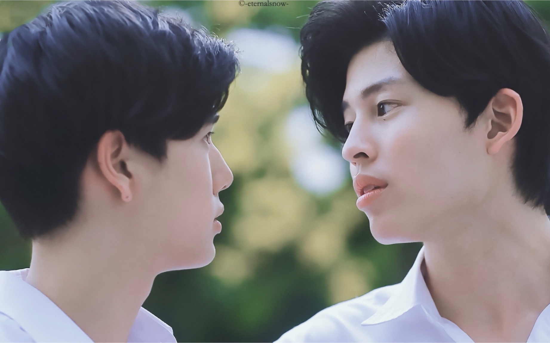 【pondphuwin】【天上的鱼】盯妻眼神太撩人 这眼神鲨我 cp安利