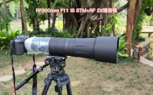 佳能 RF800mm F11 IS STM超长焦镜头加RF 2X 增倍镜得到的1600mm拍视频是怎样的体验