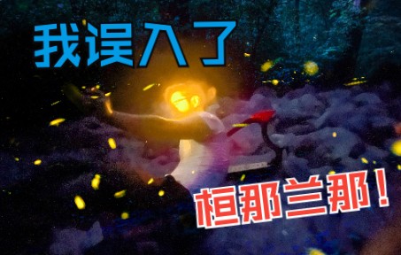 [图]【原神】星空与萤火虫！为拍摄「大梦的曲调」迷失奇幻森林！误入桓那兰那！