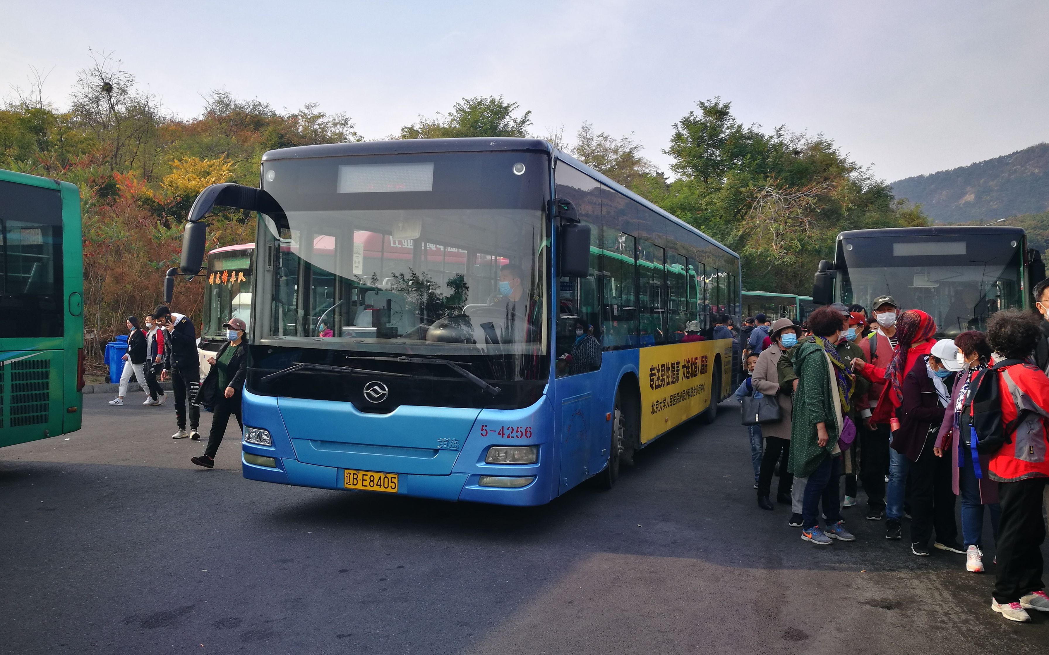 大连公交5路公交车前面展望青泥洼桥森林动物园南门