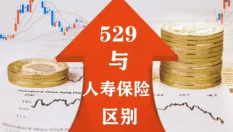 529与人寿保险的区别