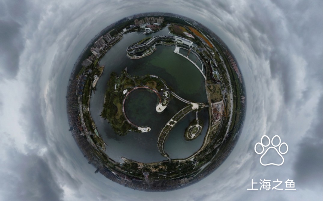 随手航拍出大片|上海之鱼