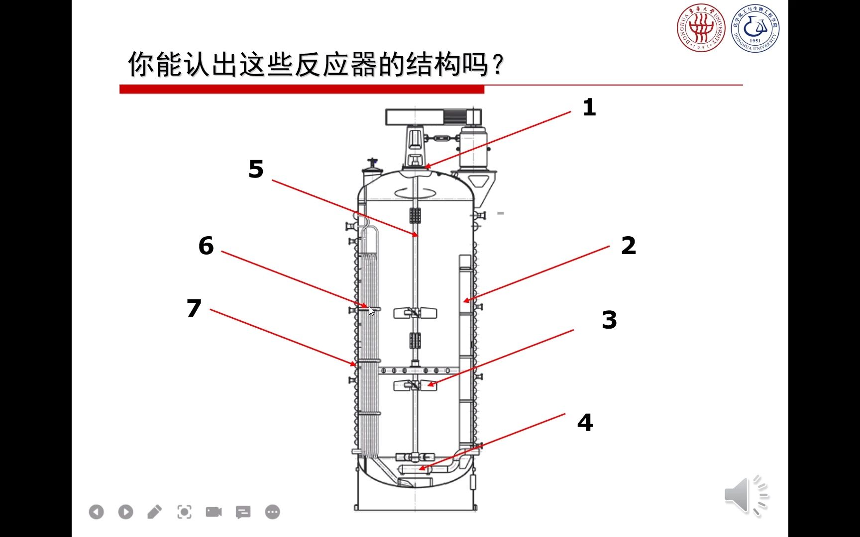 花生仁学业微课6