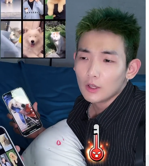 兄弟们 这下总没理由再艾特我了吧 百万创意大赛 全网寻找梅尼耶