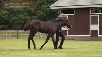 Download Video: 【铁鸟翱天产驹＆胜局在望半弟】将在下月MIXED SALE亮相的ダストアンドダイヤモンズの2024