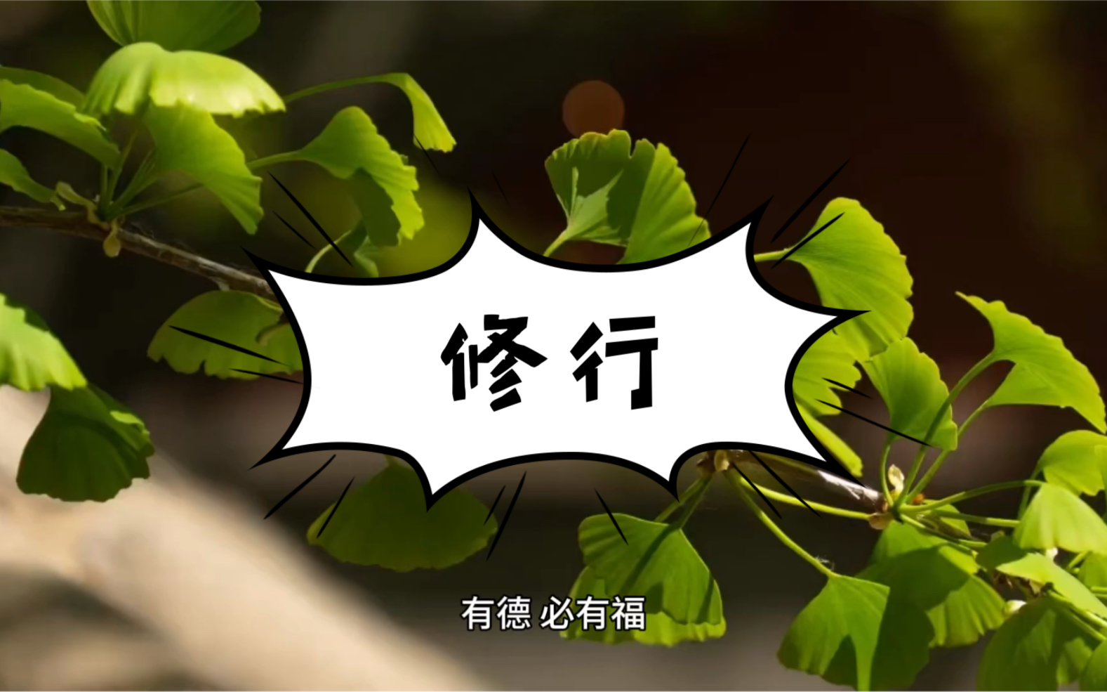 活动  正能量:有德,必有福
