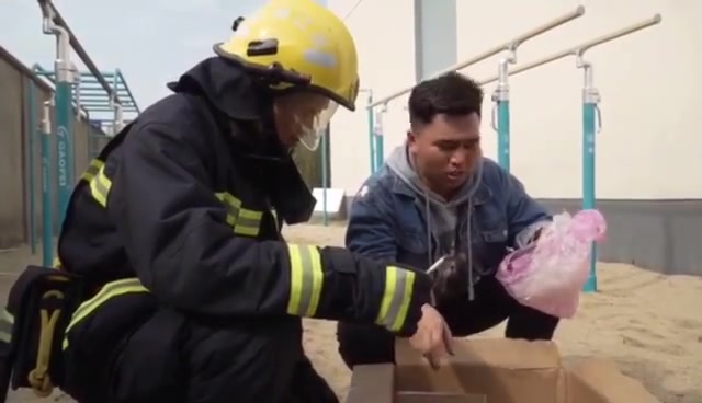 消防云课堂:【柳絮的威力】柳絮含有油脂,遇到明火能引起轰燃,且蔓延速度快,容易引发火灾事故.哔哩哔哩bilibili