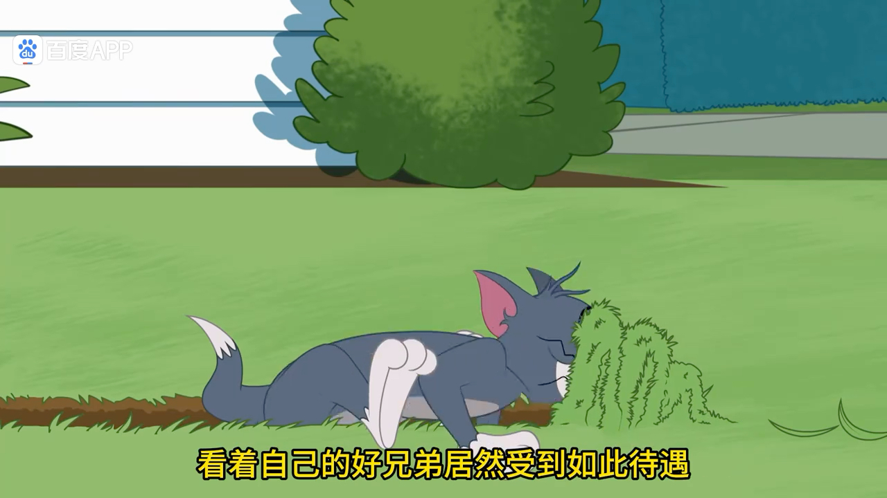 斯派克遇到了一只比自己强的老狗