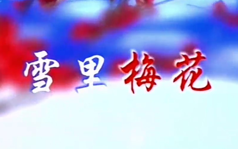 [图]【音乐电视作品】贺继红《雪里梅花》