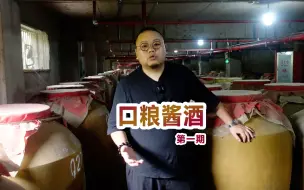 下载视频: 白酒行业现在有多卷？茂哥宣布：全网第一个公开卖碎沙口粮酒博主