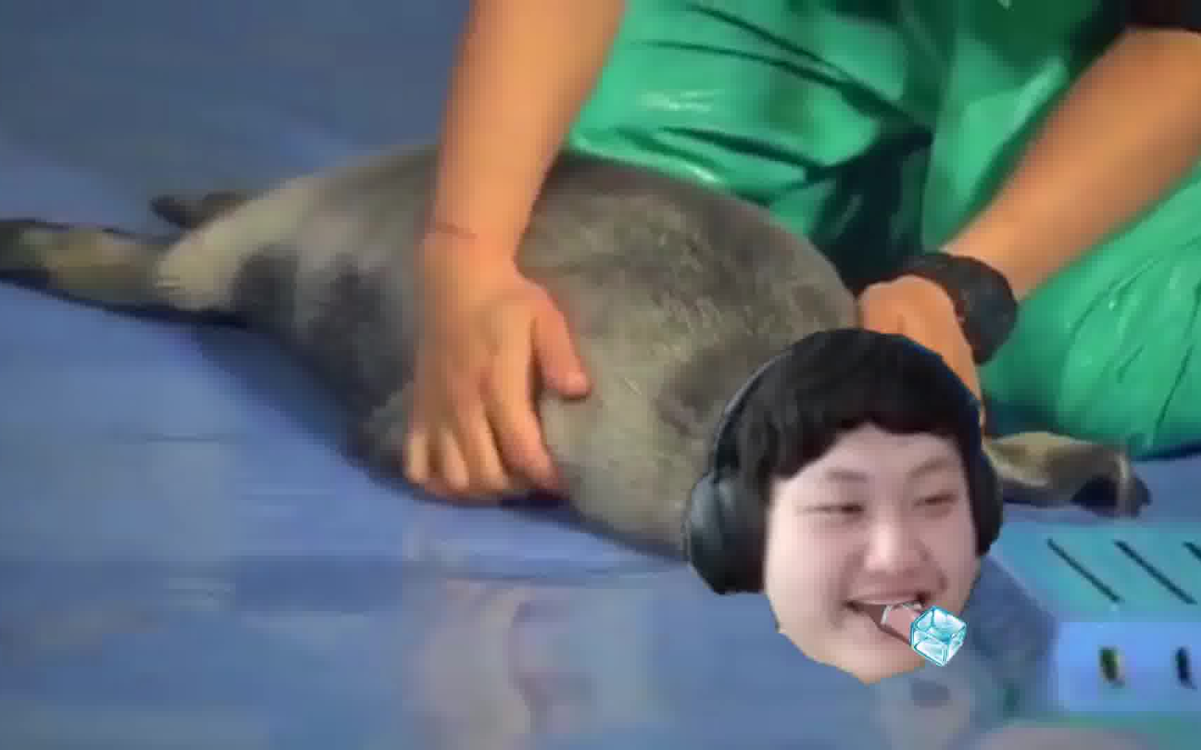 山泥若太想溜冰了怎么办_哔哩哔哩_bilibili