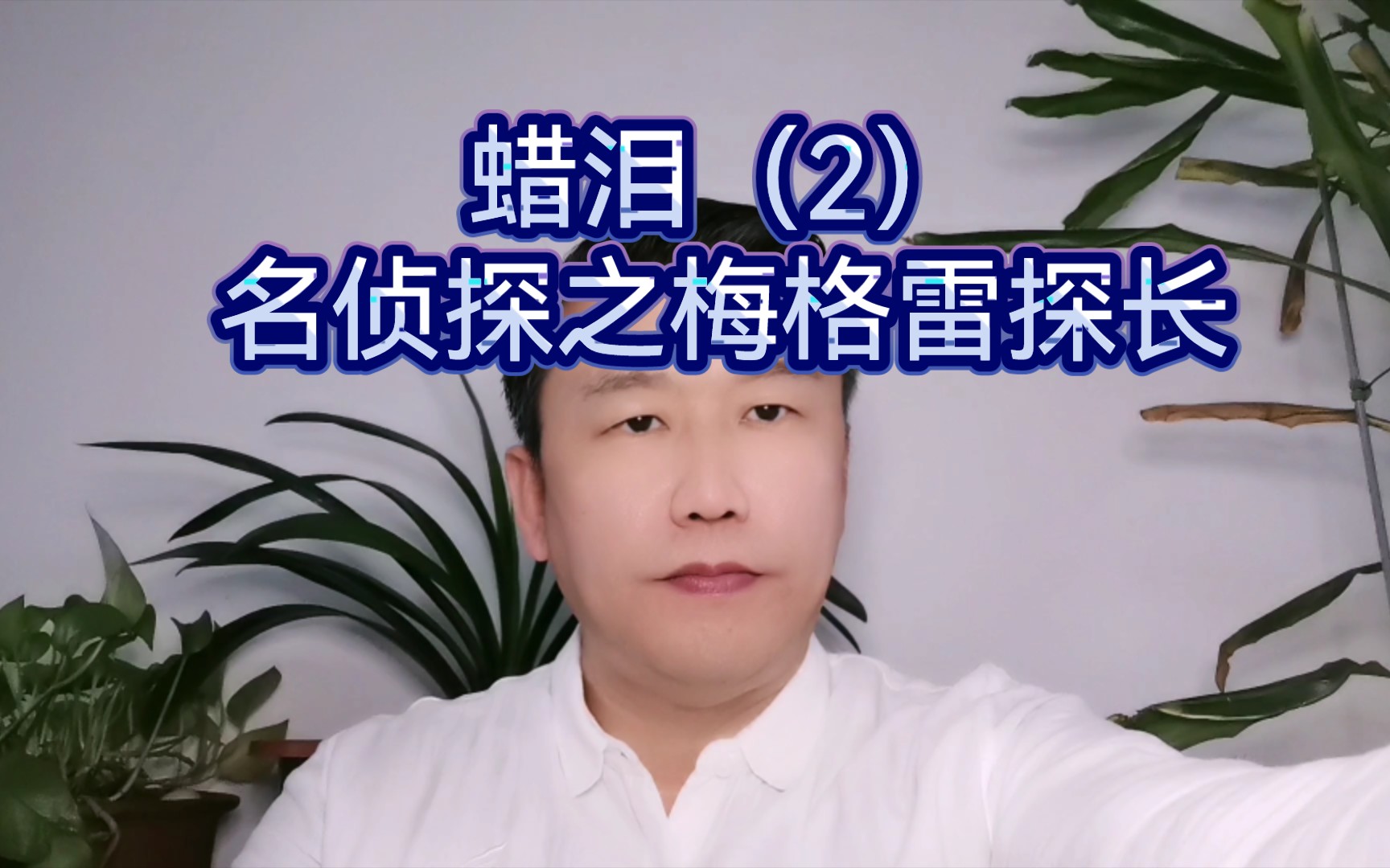 名侦探之梅格雷探长——蜡泪(2)