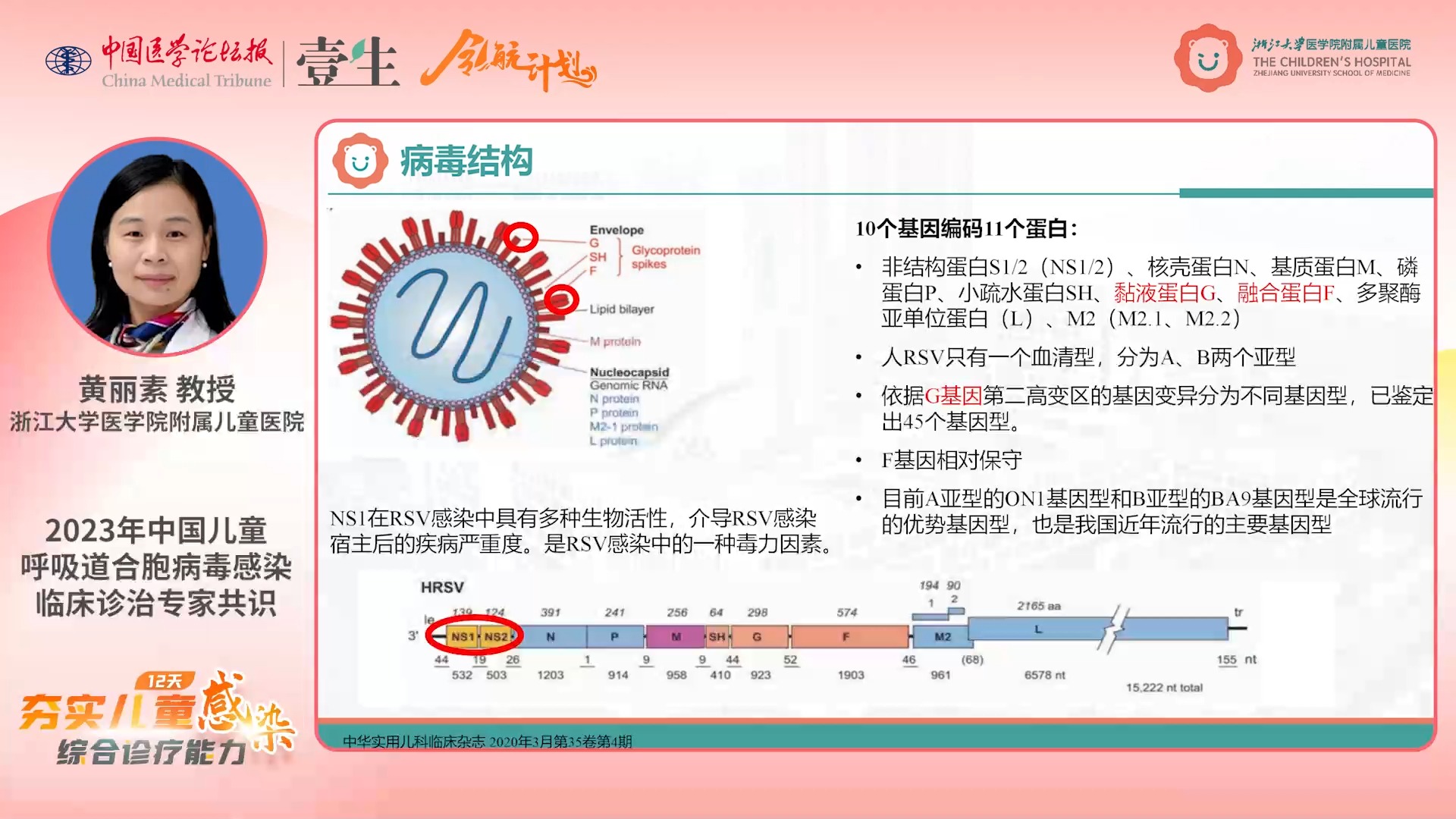 Day12023年中国儿童呼吸道合胞病毒感染临床诊治专家共识哔哩哔哩bilibili