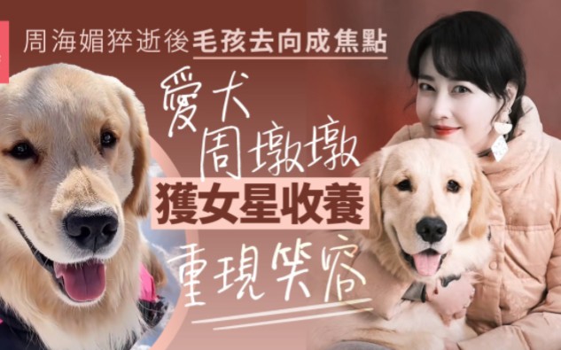 李勤勤收养周海媚爱犬哔哩哔哩bilibili