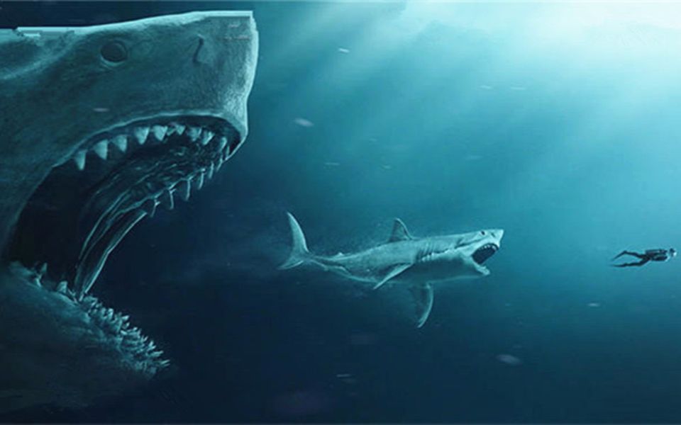 史前巨齿鲨被意外放出,身长20多米,能一口咬死鲸鱼_哔哩哔哩 (゜-゜)