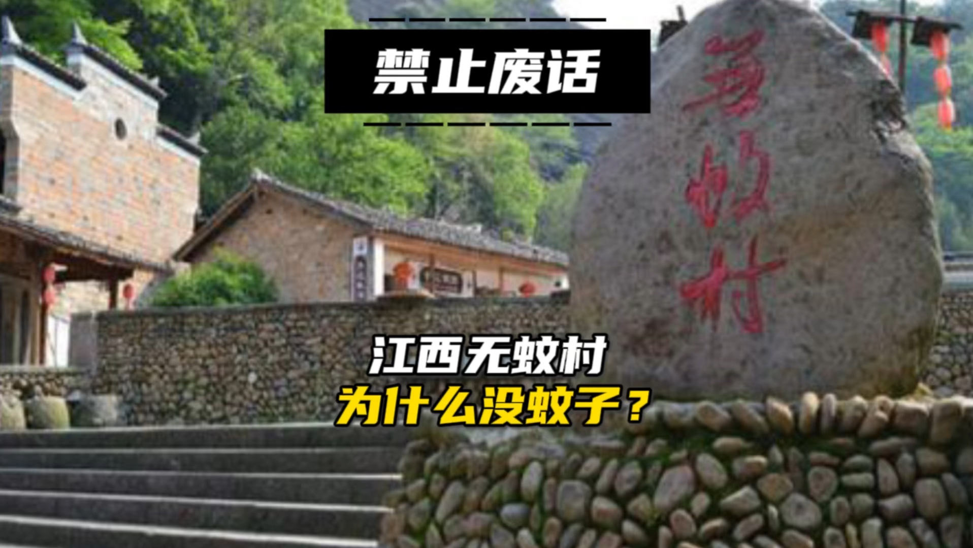 禁止废话,江西无蚊村为什么没有蚊子?哔哩哔哩bilibili