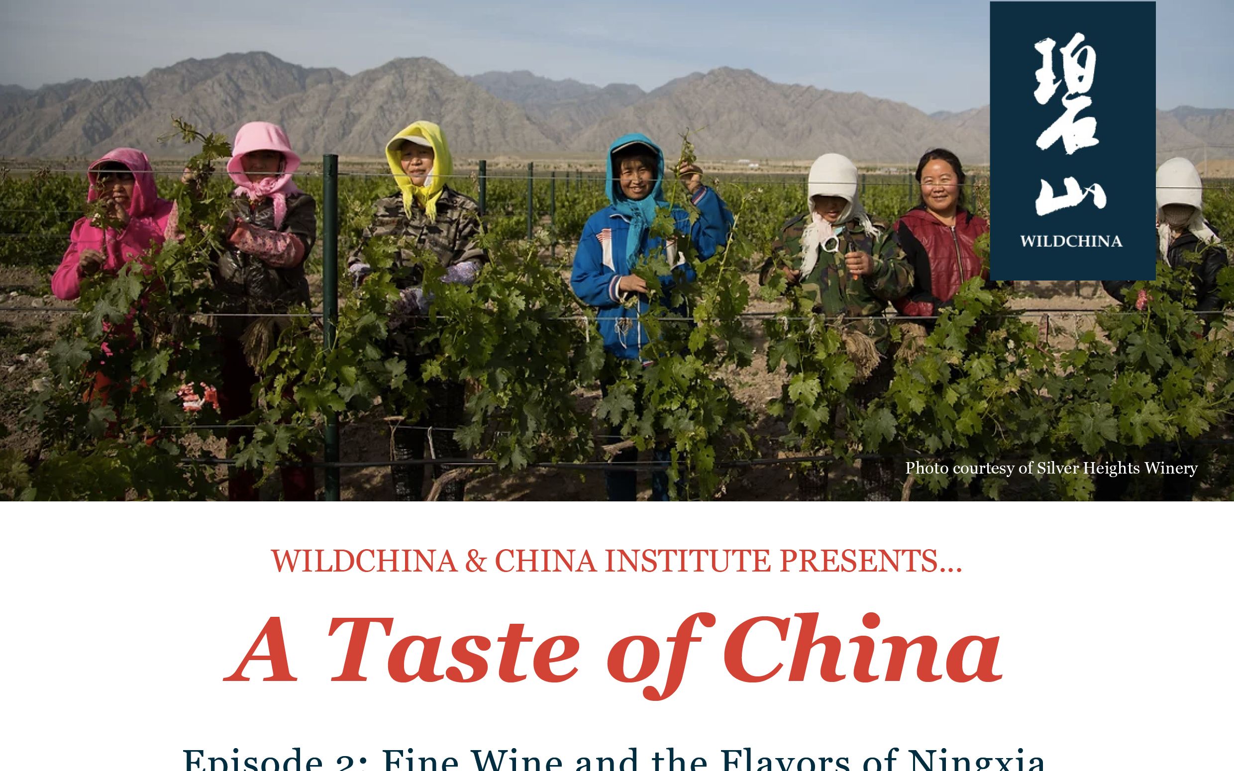 碧山讲堂第44期 | A Taste of China系列:宁夏葡萄酒 Ningxia Wine(英文)哔哩哔哩bilibili