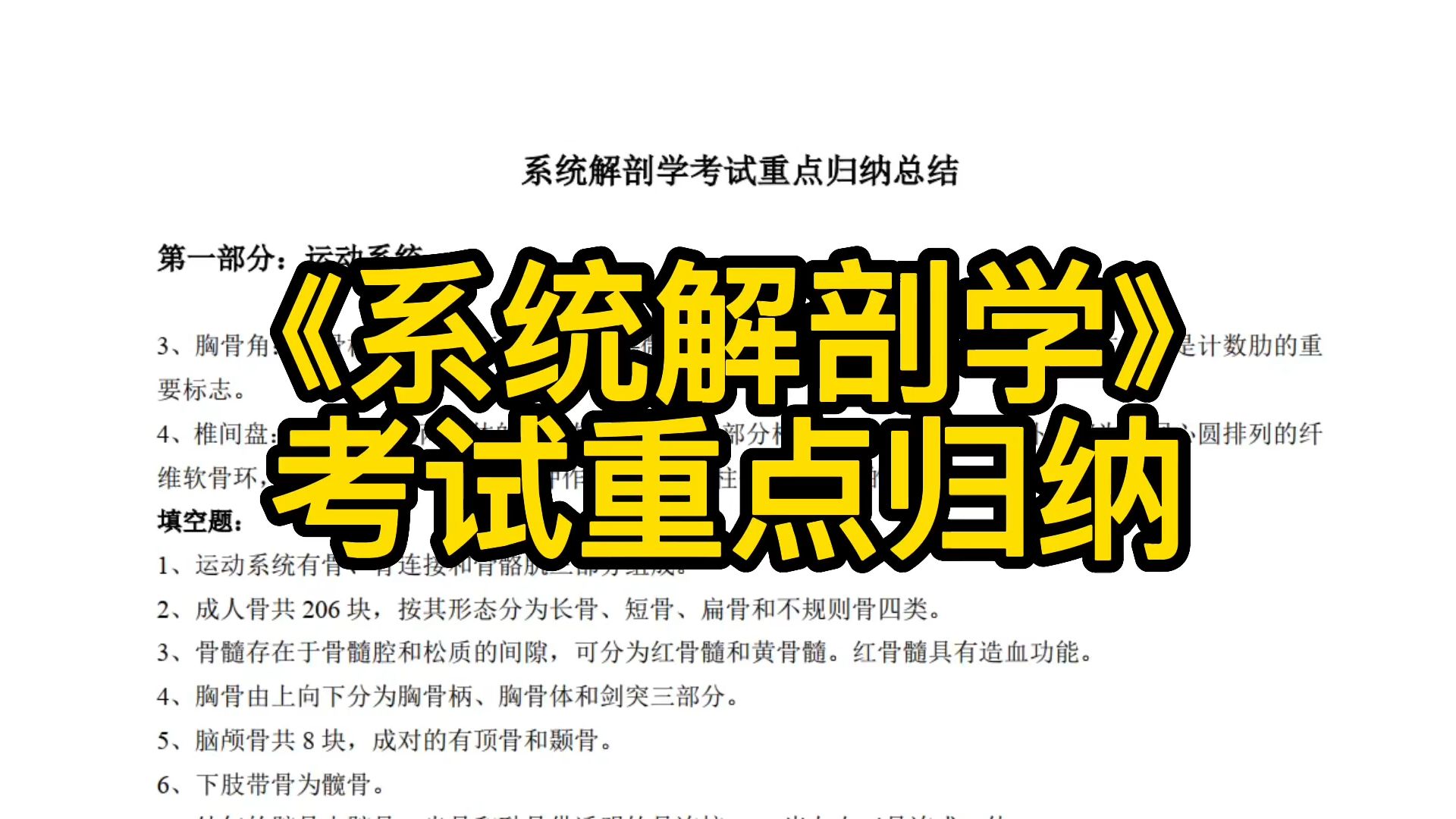 《系统解剖学》重点笔记+知识点+重点归纳总结+试题及答案哔哩哔哩bilibili