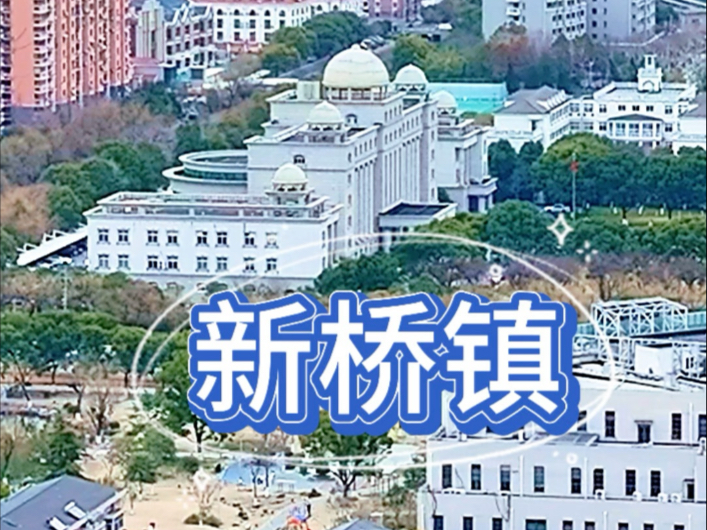 上海市松江区新桥镇哔哩哔哩bilibili