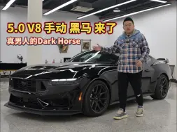 Descargar video: 5.0 V8手动黑马DarkHorse来了！