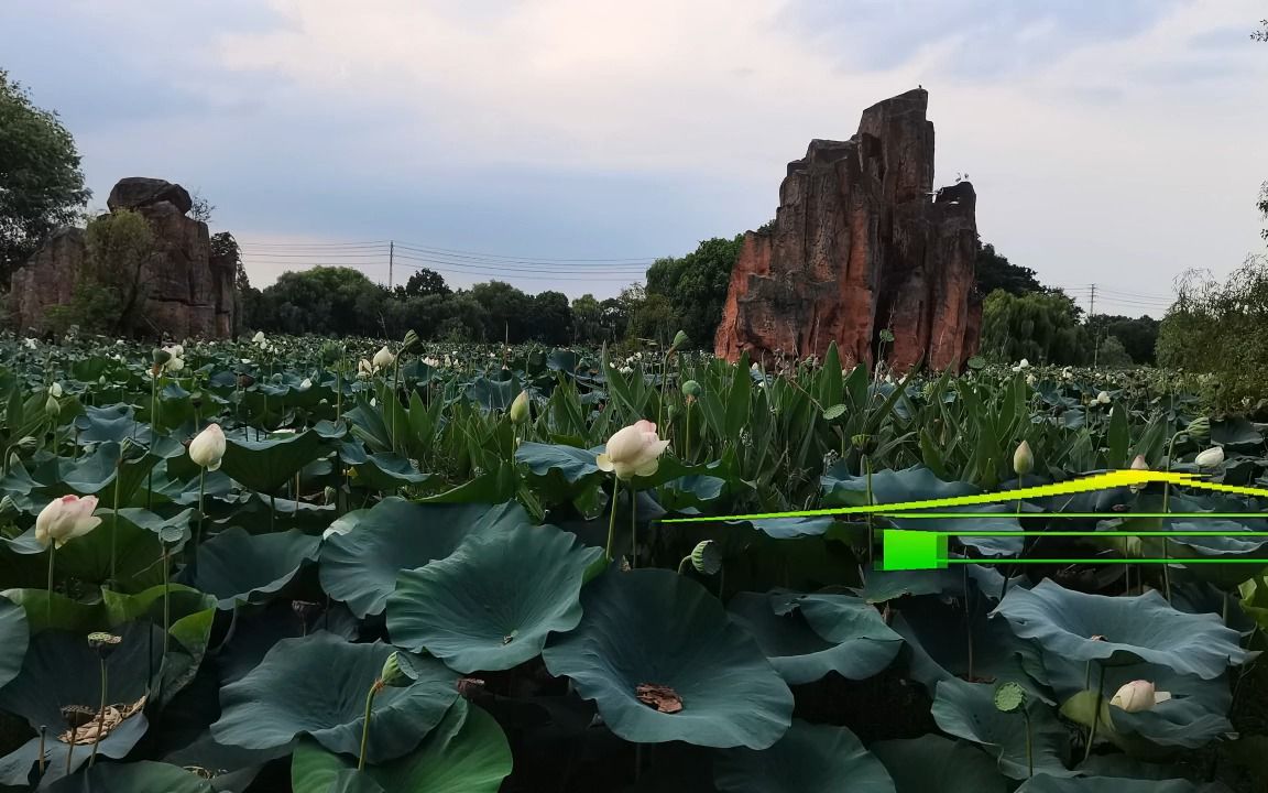 合肥市新加坡花园景观