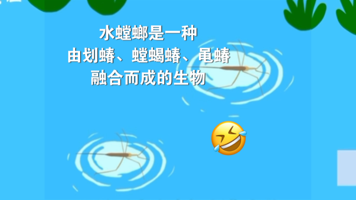 水螳螂能在水面蹦,科普中国和百度百科看看你做的是什么误导人的东西哔哩哔哩bilibili