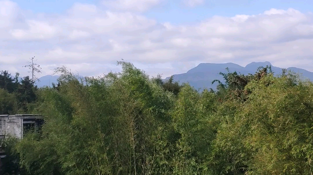 住在山里面真不错