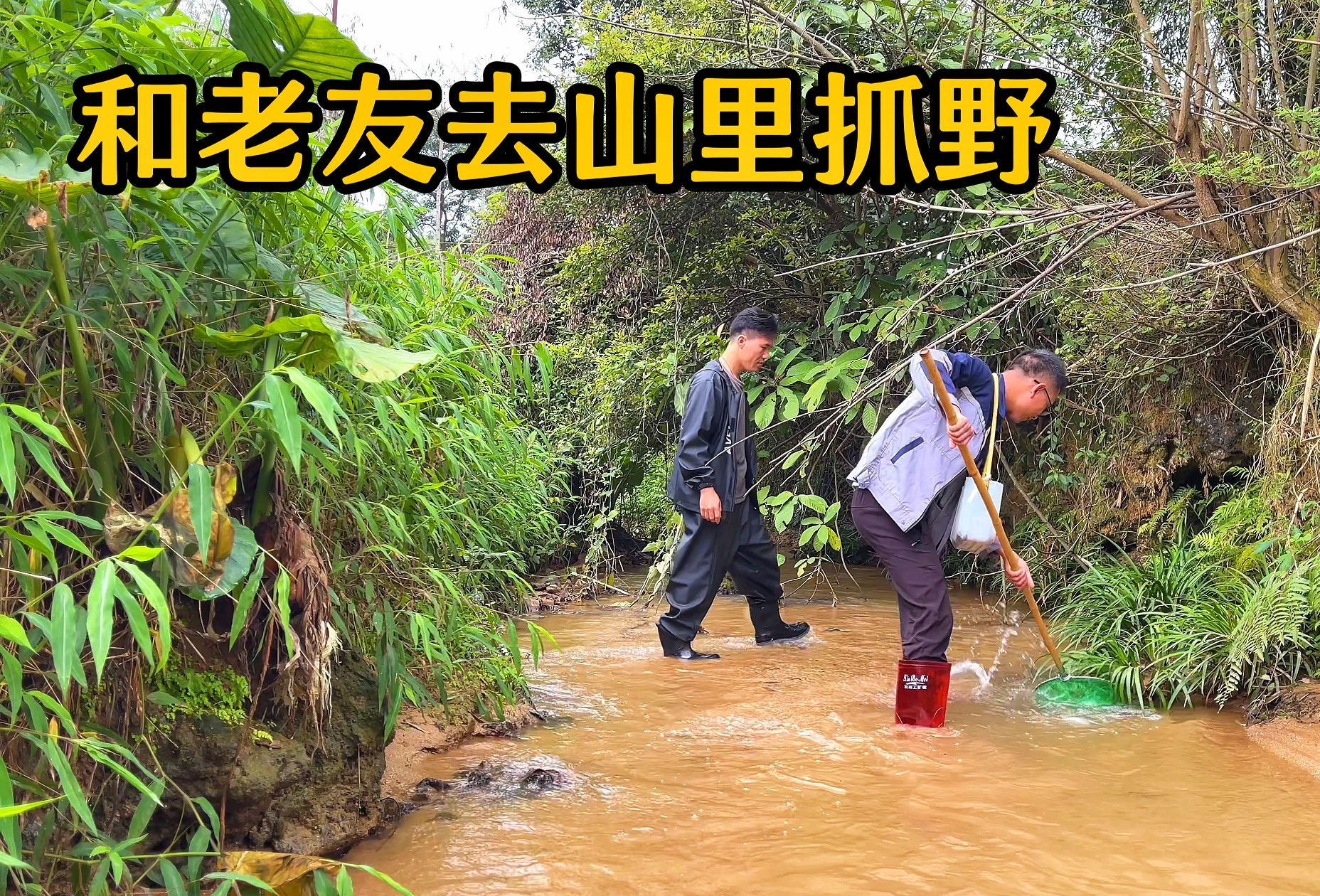 双休,和老友到山里小溪抓点野体验儿时乐趣!搞点野菜晚上聚一聚哔哩哔哩bilibili