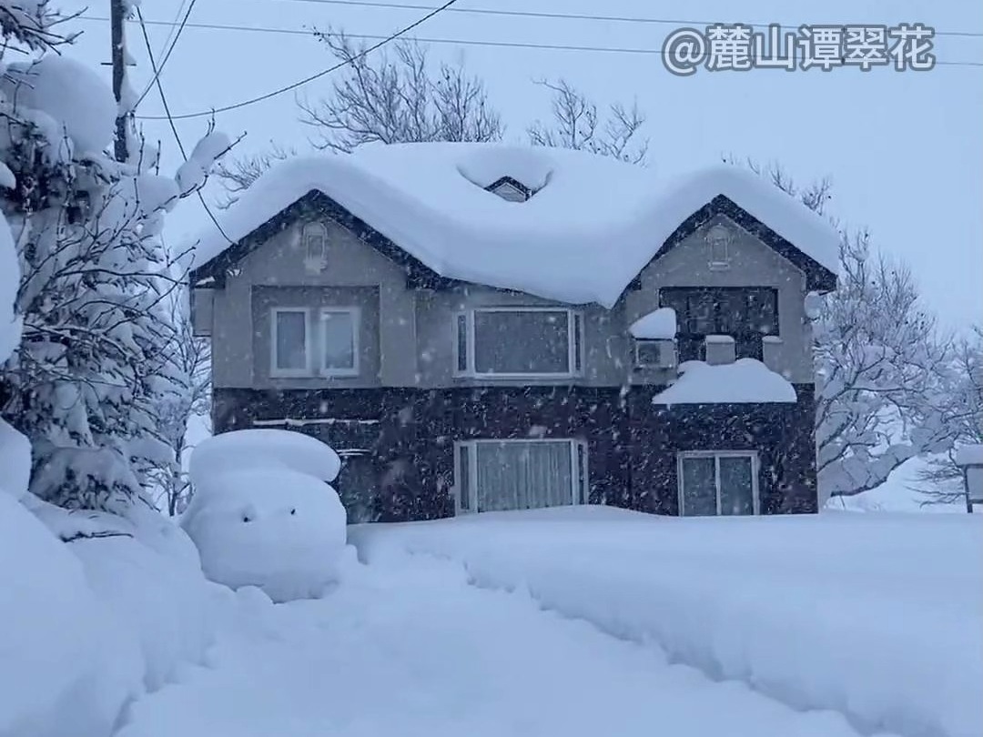 原来中国下不来的雪都去日本了哔哩哔哩bilibili