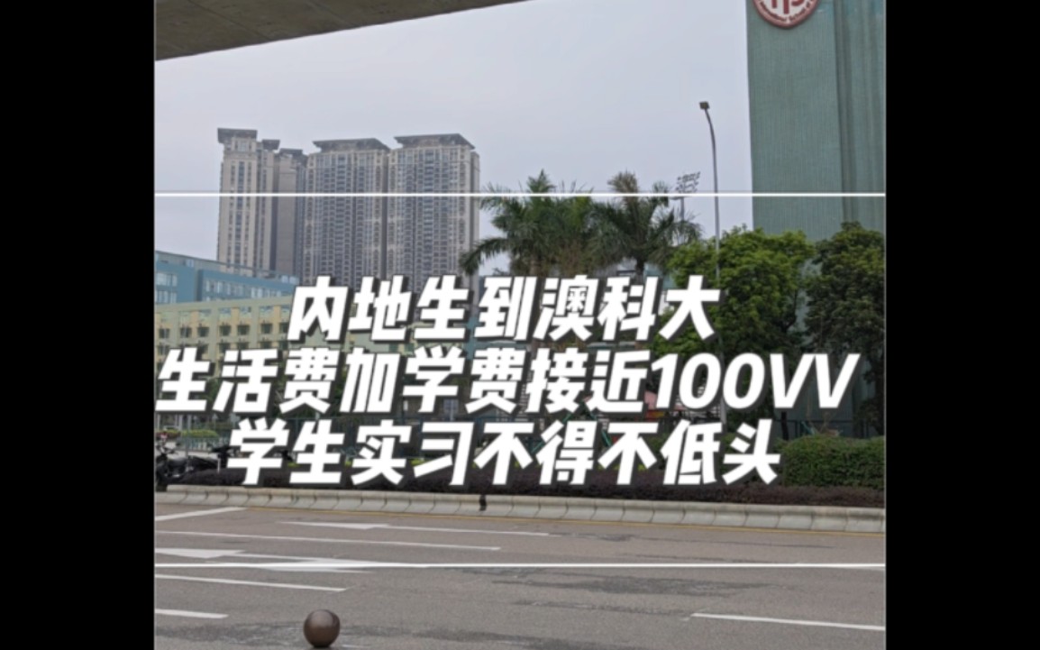 内地生到澳科大生活费加学费接近100VV学生实习不得不低头哔哩哔哩bilibili