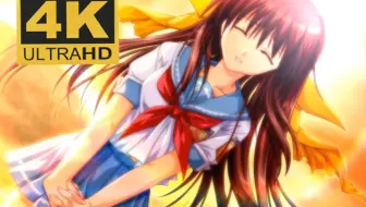 车轮之国 法月将臣老师的教诲 名言全集 哔哩哔哩 Bilibili