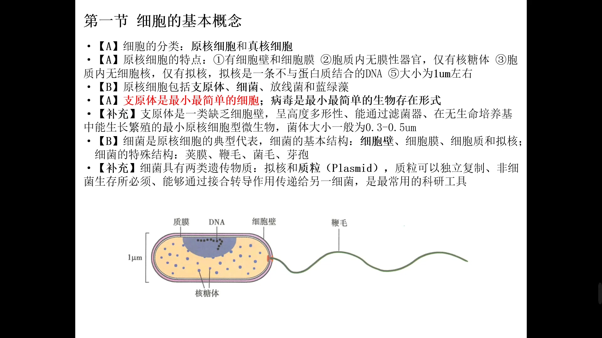 医学细胞生物学第一讲——细胞的概念和分子基础哔哩哔哩bilibili