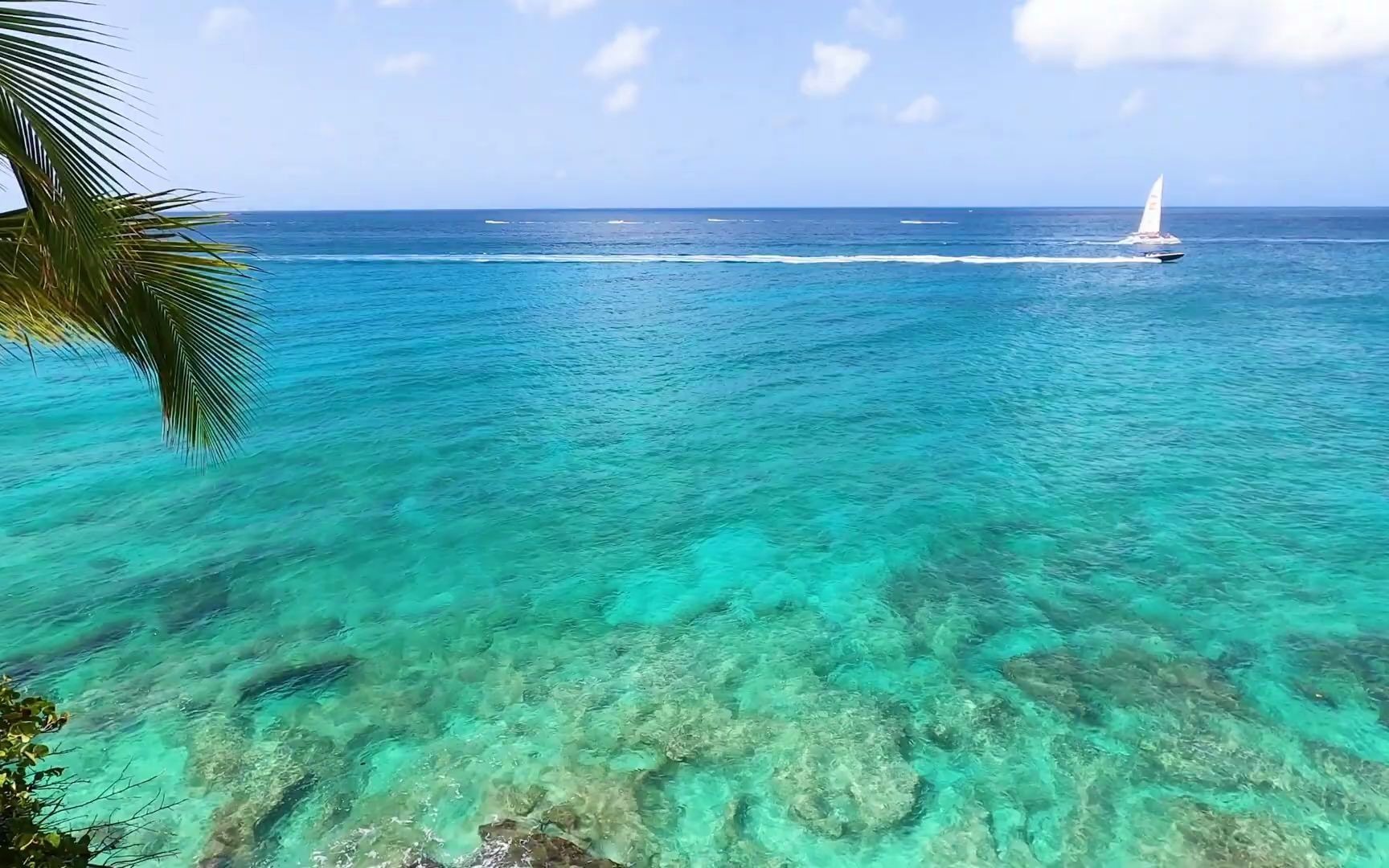 【白噪音】实录加勒比海滩边海浪声、海风声|助眠,学习,冥想,放松哔哩哔哩bilibili