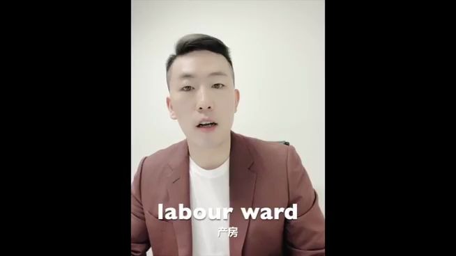 CCL医学词汇之 Labour Ward哔哩哔哩bilibili