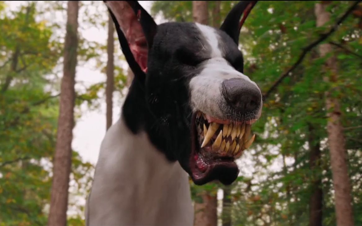 【好兆头】恶魔之子被人类抚养,生日收到地狱送出的