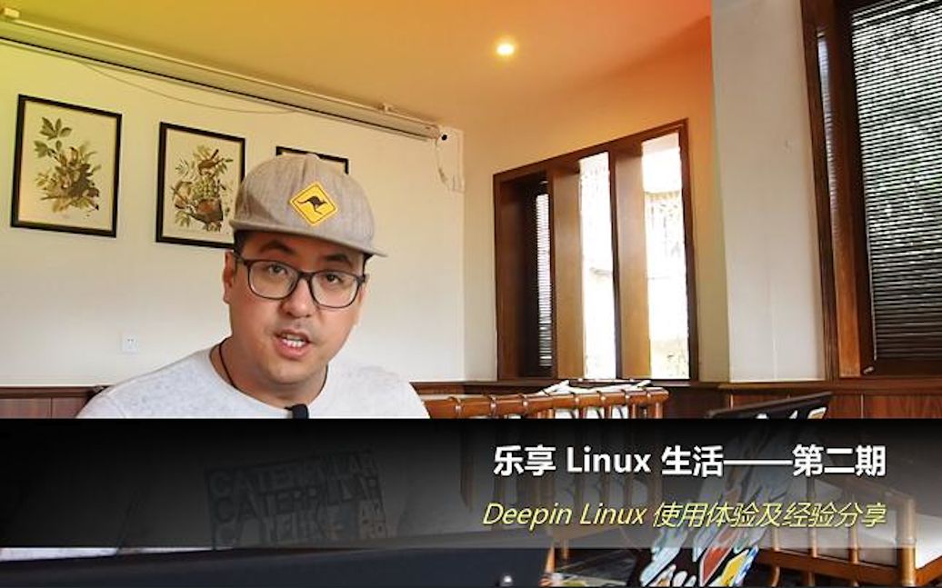 乐享 Linux 生活第二期,深度 Linux 使用体验,感悟;Bug 复现;展望哔哩哔哩bilibili