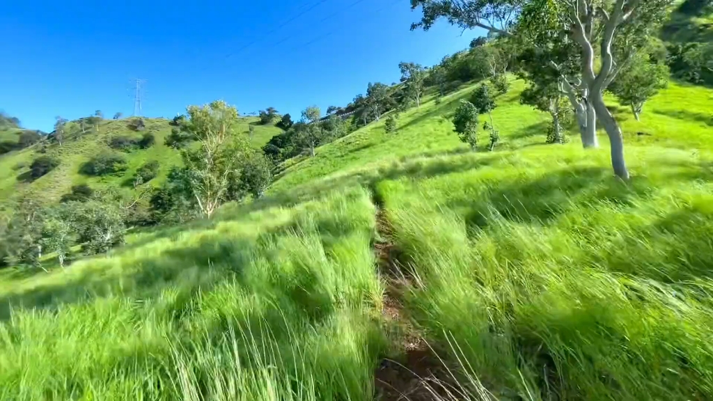 人群太吵了,我想去听听旷野的风安静又孤独,踏实又自由但是风告诉我