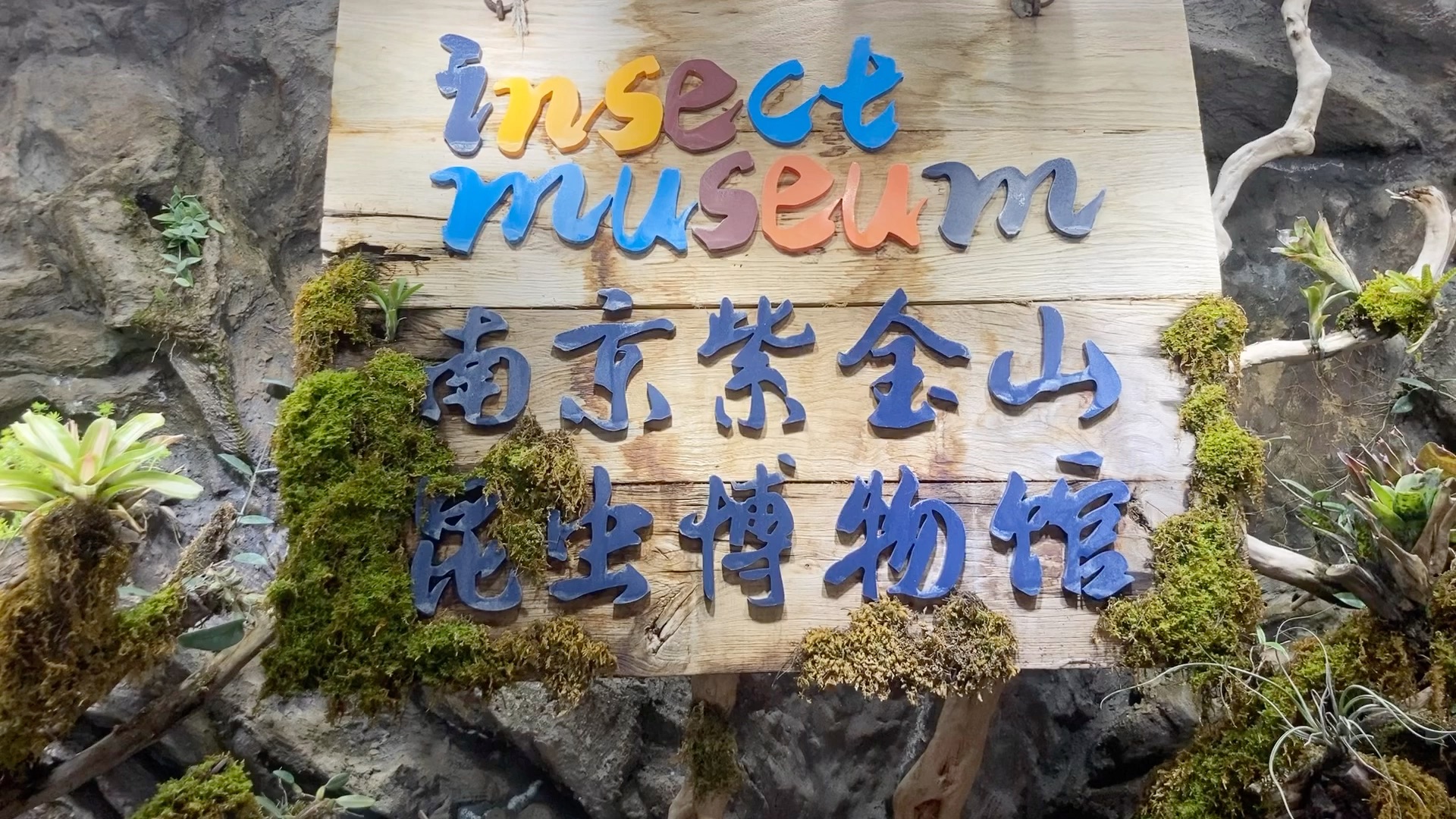 南京紫金山昆虫博物馆