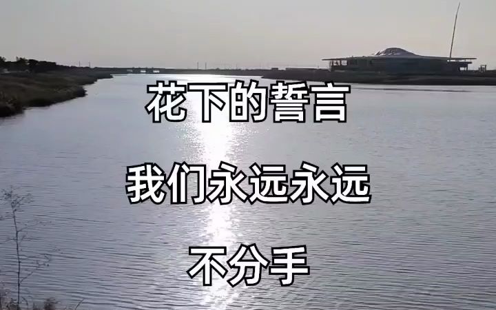 花开花落 完整版哔哩哔哩bilibili