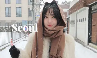 下载视频: VLOG ♡ 首尔日记 | 2023的最后一场雪 ❄️