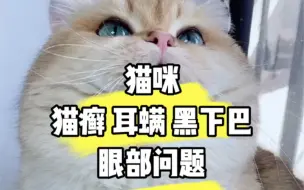 Download Video: 猫癣、耳螨、黑下巴、眼部问题，应对方法。