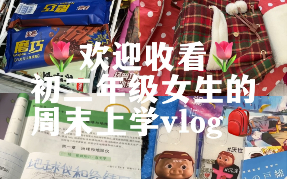 08/初二年级女生的周末上学vlog哔哩哔哩bilibili