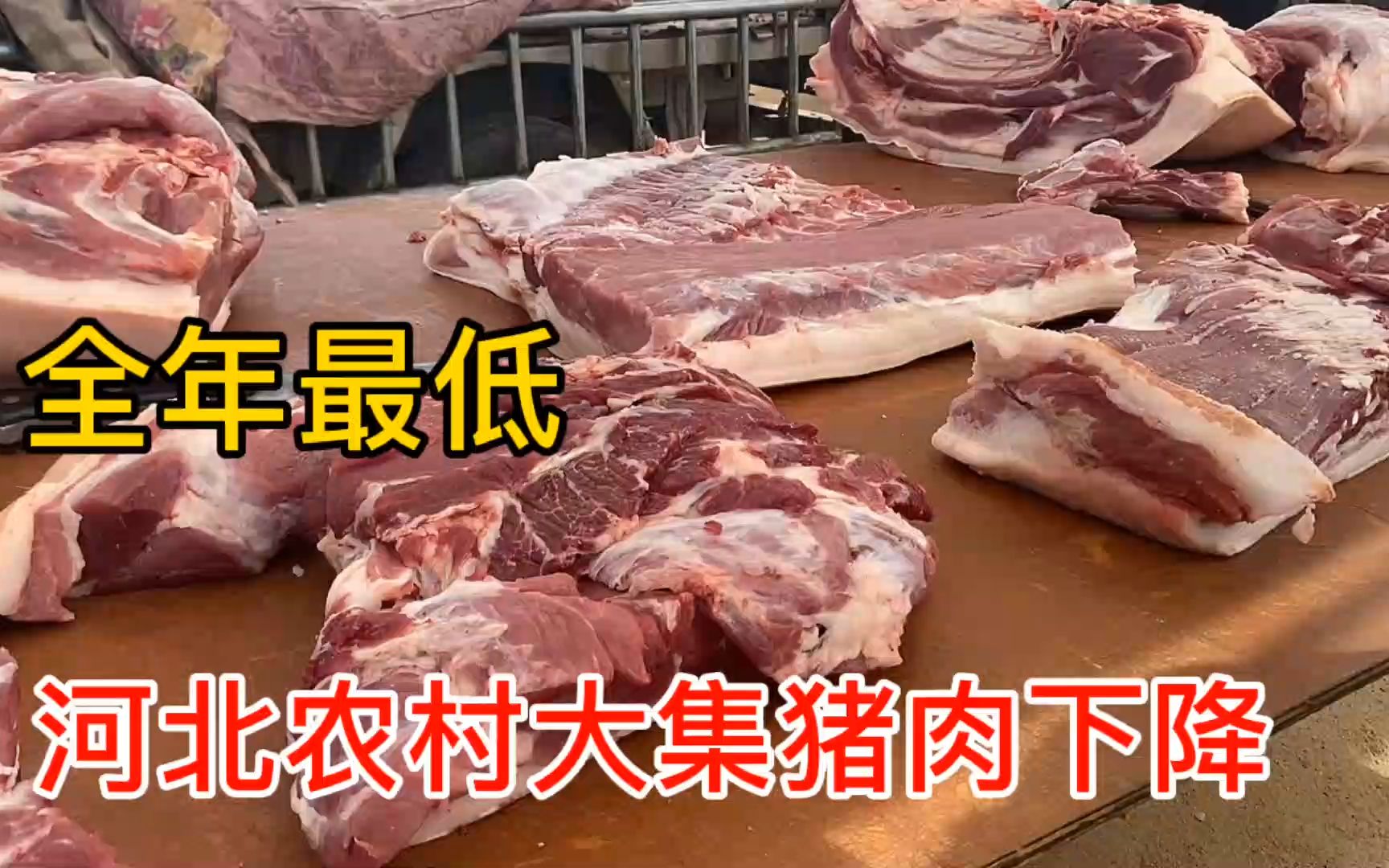 河北大集猪肉价格下降,全年最低,看5月7日多少钱一斤?大吃一惊哔哩哔哩bilibili