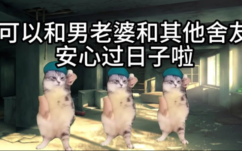 [图]【猫meme】逆天舍友使我破大防