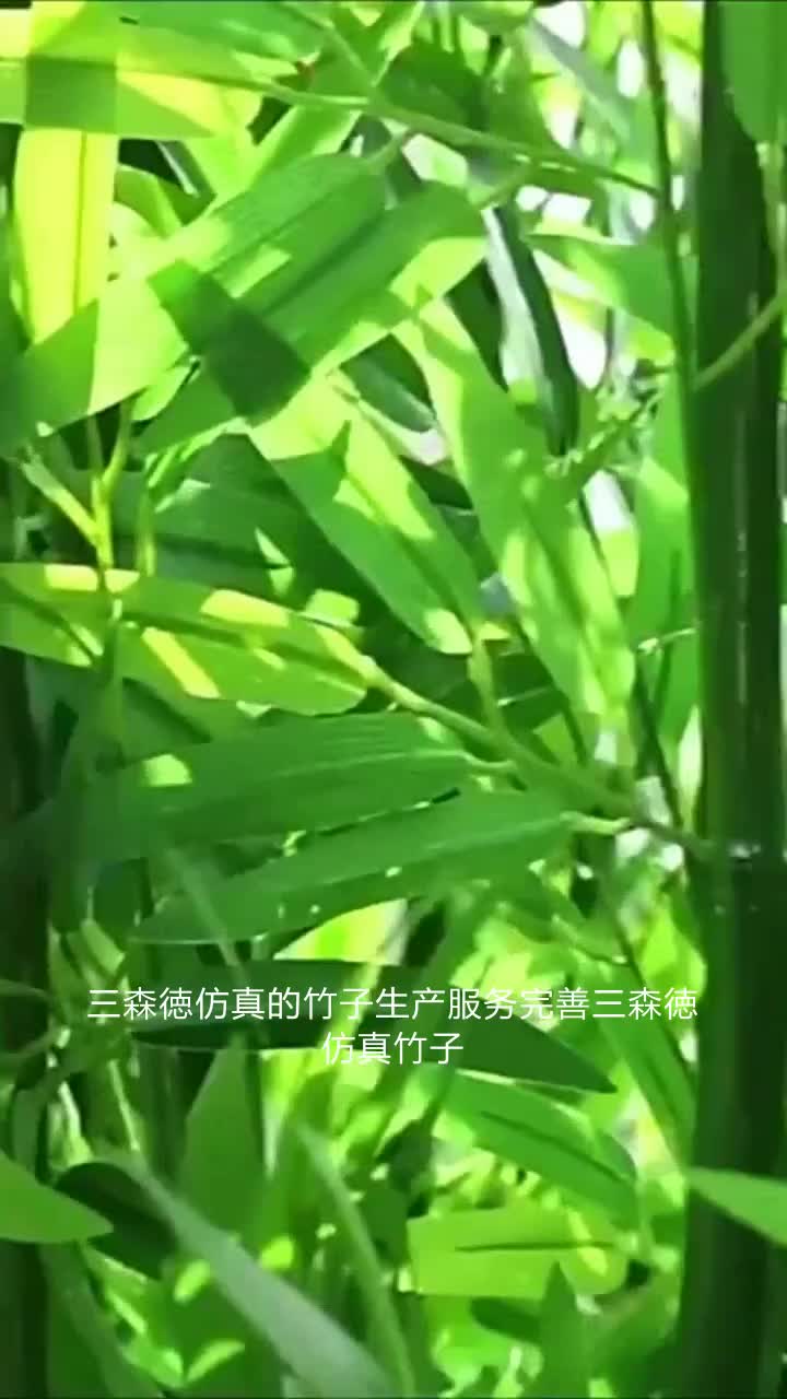 三森徳仿真的竹子生产服务完善三森徳仿真竹子,不仅是装饰,更是自然与生活的桥梁.性价比高,质优价廉,物超所值.三森徳仿真竹子,自然之美触手可...