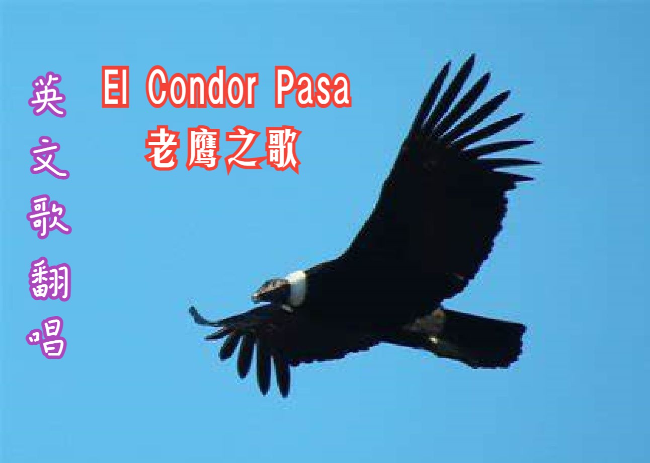 翻唱:el condor pasa 老鹰之歌 - 被列入联合国世界文化遗产的秘鲁