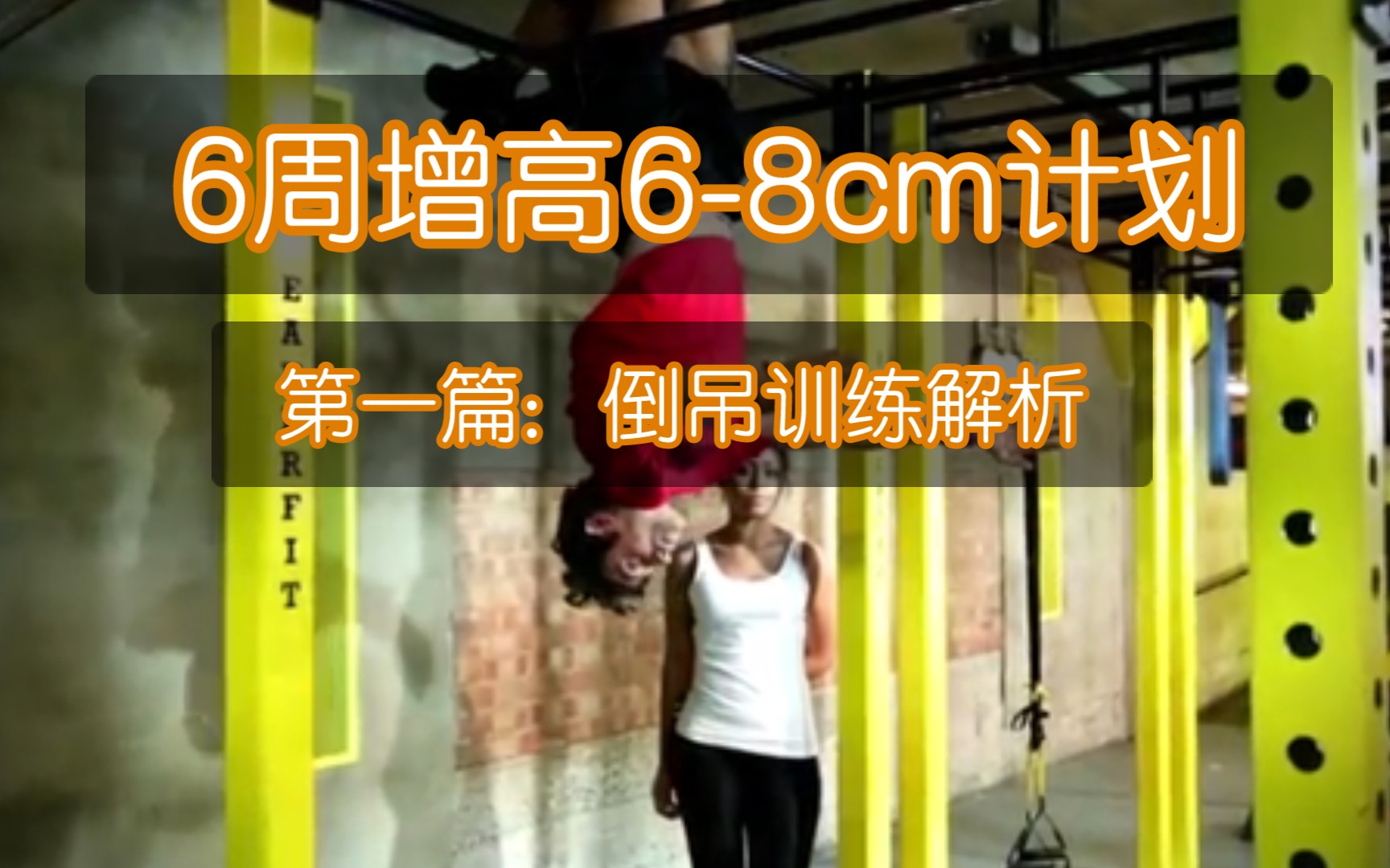 倒吊王泡酒有什么功效(倒吊王泡酒功效大揭秘)